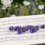 Bild: Notenbuch auf Wiese