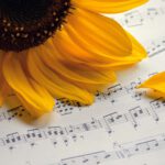 Bild Noten mit Sonnenblume