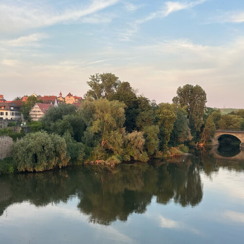 Bild: Lauffen am Neckar