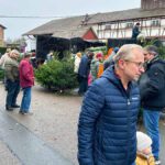 Bild: Weihnachtsbaumverkauf Baumauswahl