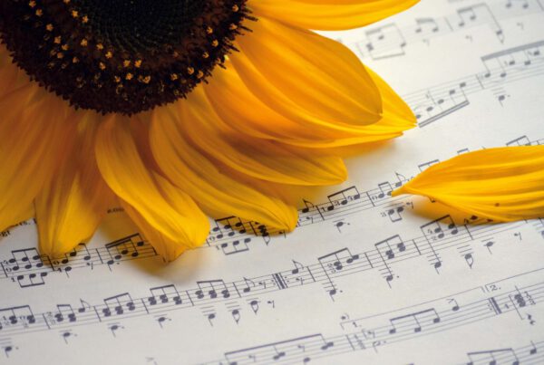 Bild Noten mit Sonnenblume