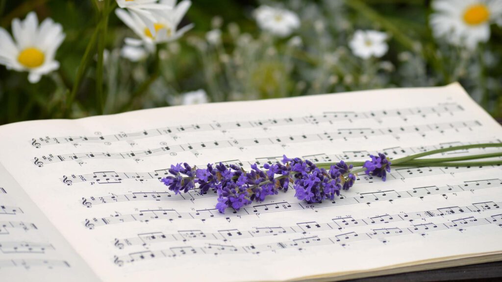 Bild: Notenbuch auf Wiese