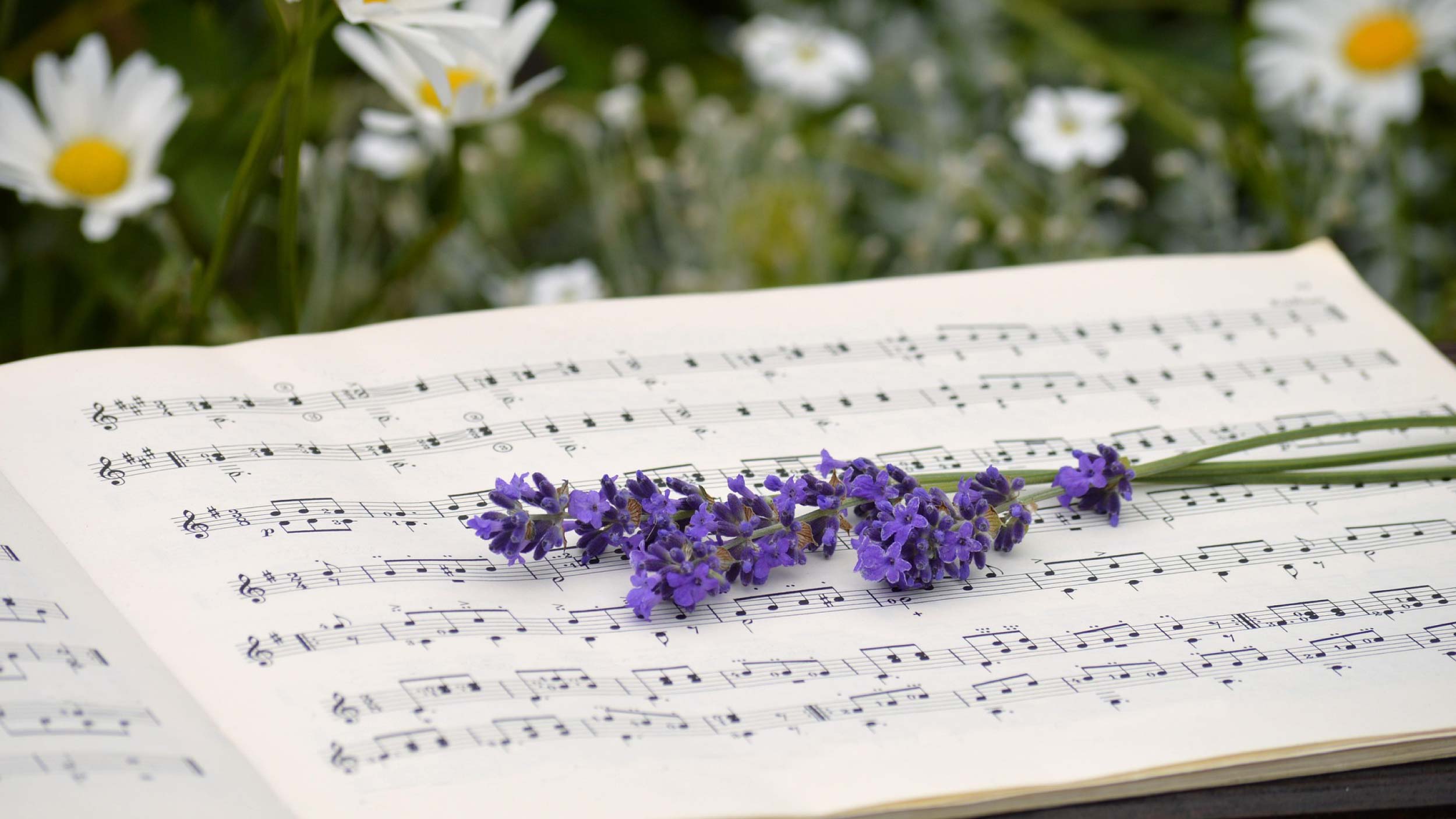 Bild: Notenbuch auf Wiese