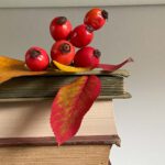 Foto Bücherstapel mit Herbstdeko