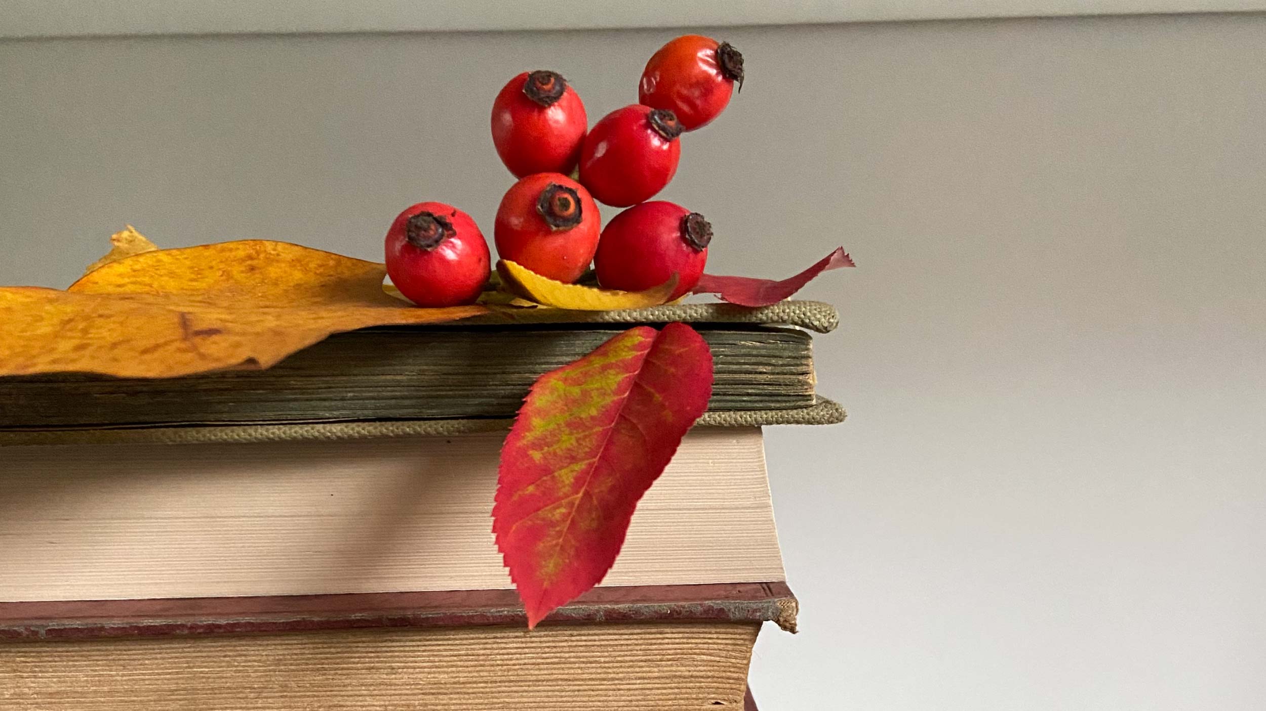 Foto Bücherstapel mit Herbstdeko