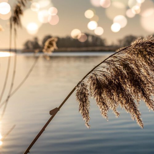 Bild: am See