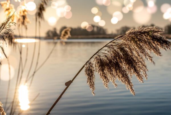 Bild: am See