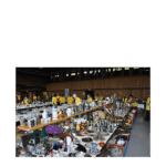 Flohmarkt 2015