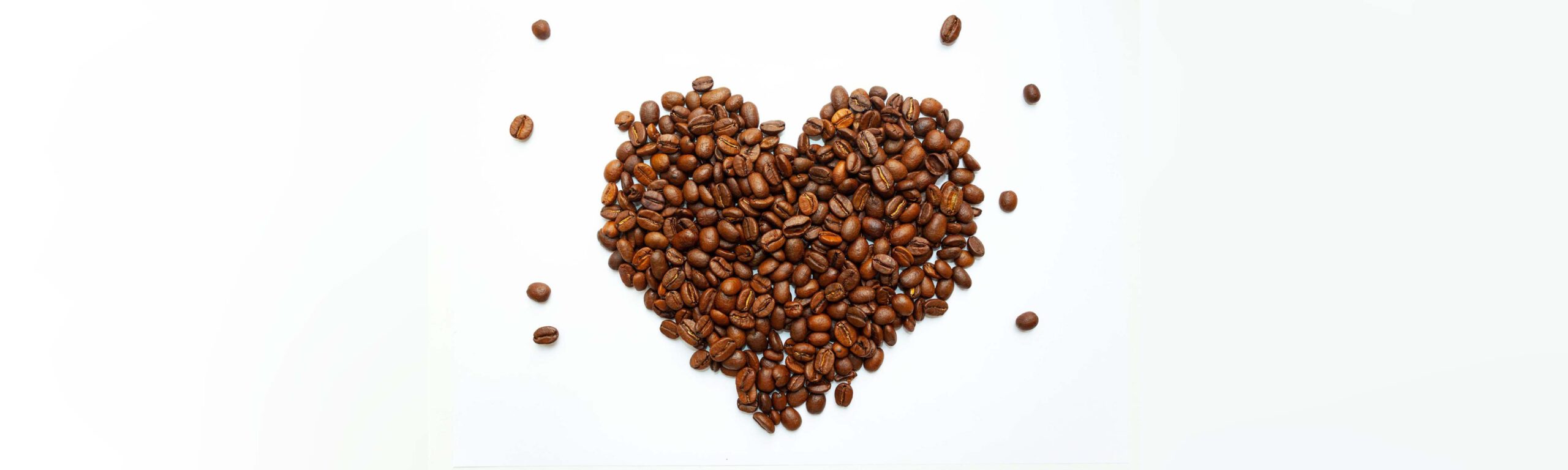 Header Kaffeeklatsch