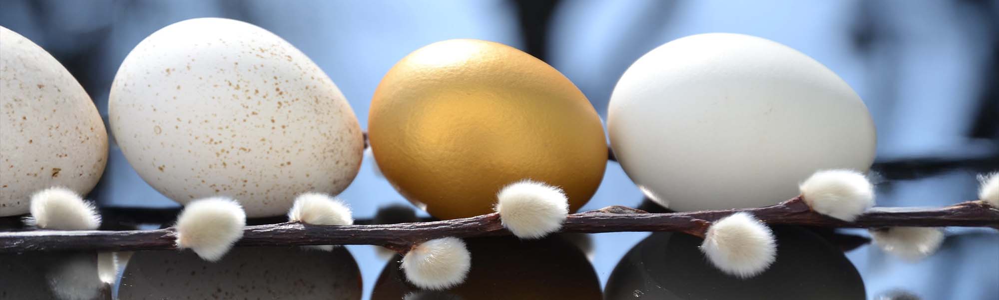 15.03. – 29.03.2026 Oster-Flohmarkt im Foyer