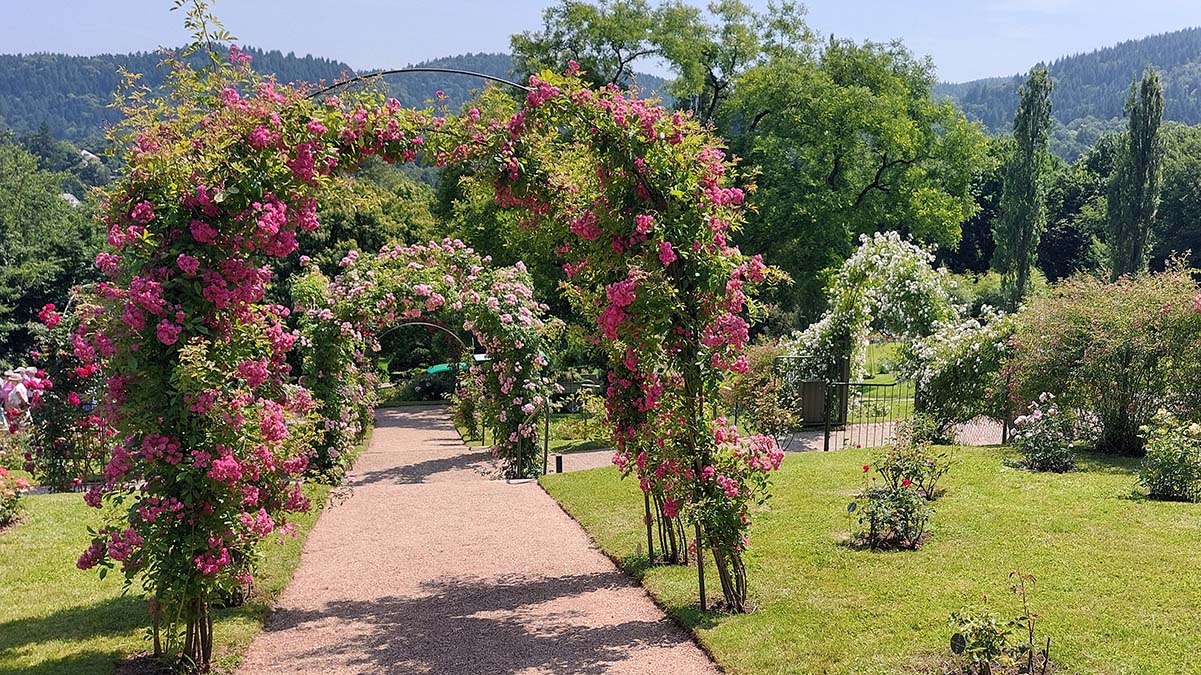 Baden Baden, Rosenneuheitengarten