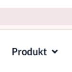 Screenshot: ChurchTools Webadresse