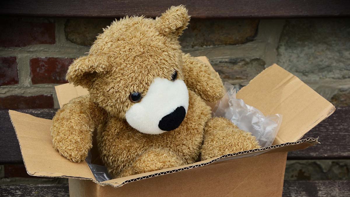 Teddybär im Karton
