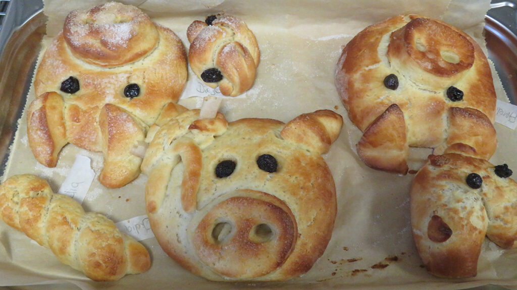 Hefeschweinchen